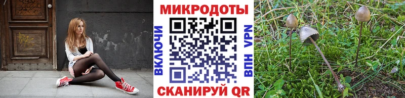 Псилоцибиновые грибы GOLDEN TEACHER blacksprut вход Яровое