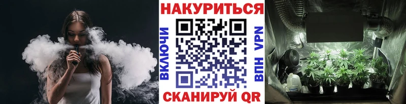 Бошки марихуана планчик  Яровое 